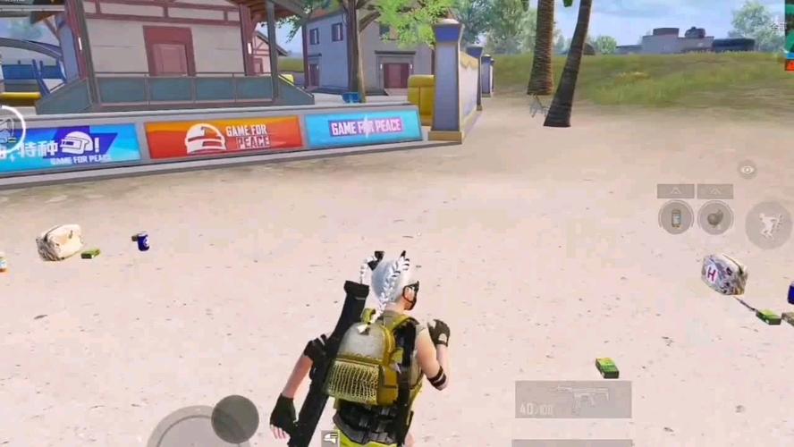 探索和平精英辅助对游戏公平性的挑战